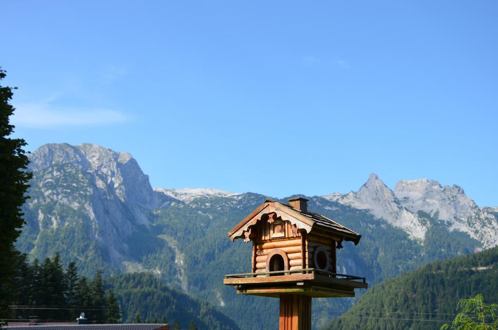 Haus Sonnblick Daire Abtenau Dış mekan fotoğraf