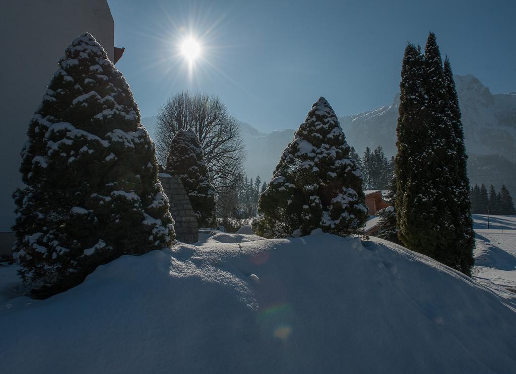 Haus Sonnblick Daire Abtenau Dış mekan fotoğraf